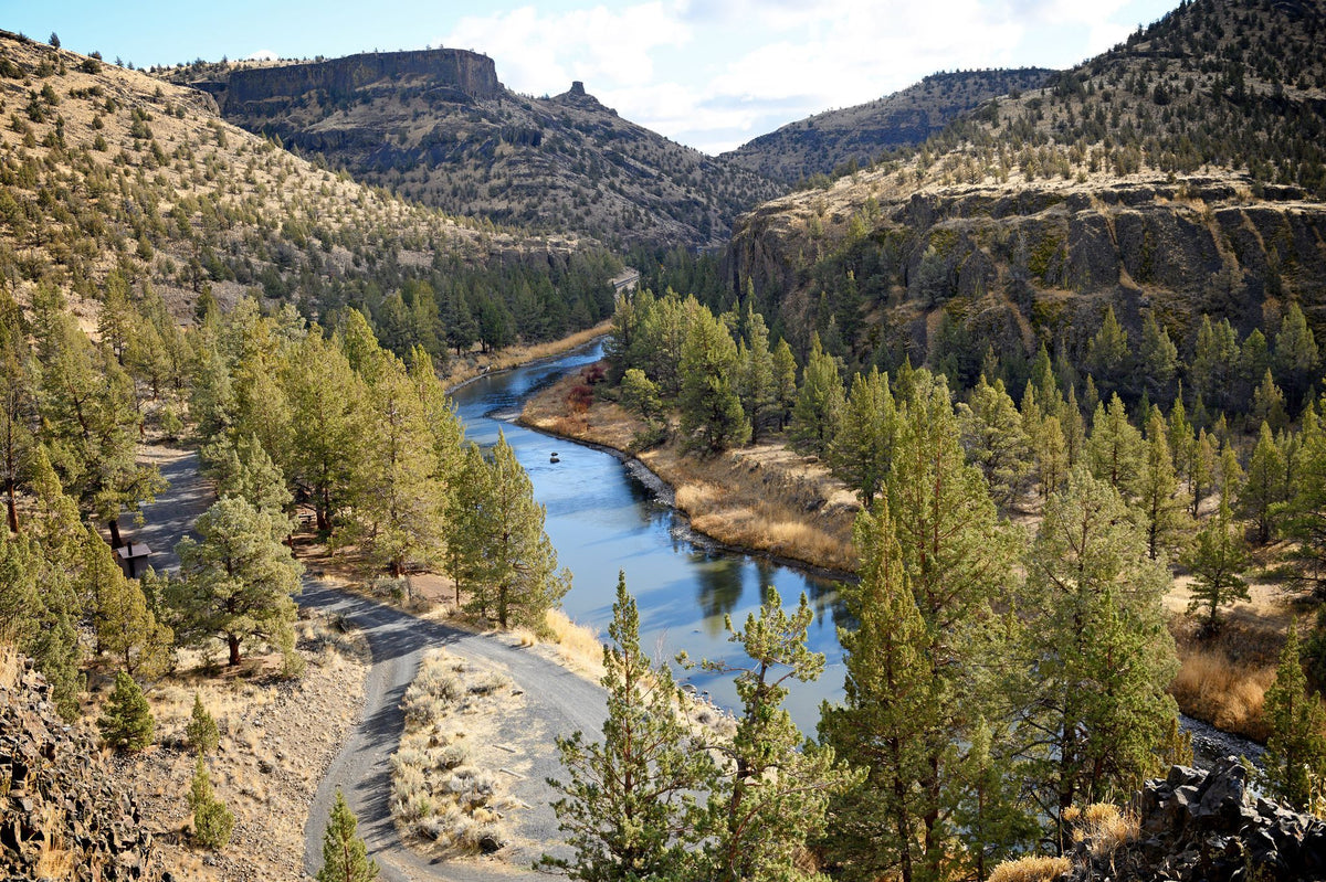 Crooked River Half Day Guide Trip - Fin & Fire Fly Shop